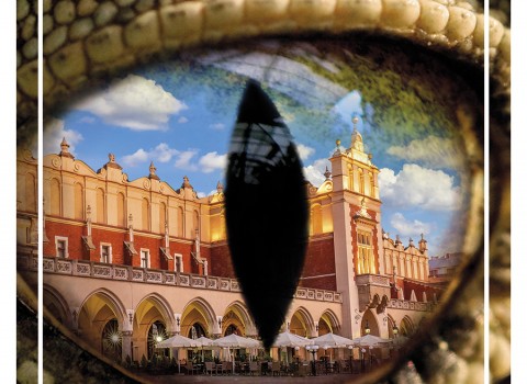 Kampania turystyczna